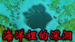 深處到底有什麼？海中自由潛水『尋找觀察海洋生物』的探索遊戲『永恆蔚藍流光』