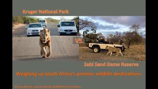 Kruger National Park vs. Sabi Sands which one offers South Africas best safari experience?