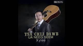 Xy Lee - Tsa Chij Dawb Ua Neeg Seem  Full song  New Song 2018