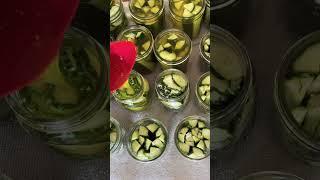 Easy canned pickles #shortsfeed