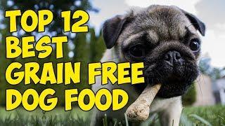 Top 12 Best Grain Free Dog Foods for 2019