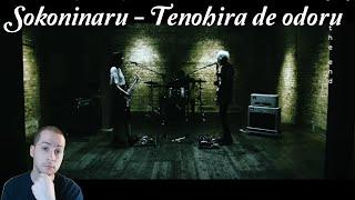 Sokoninaru - Tenohira De Odoru Reaction W Lyric Breakdown. Talent on full display