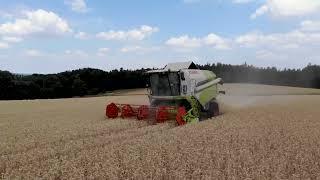 Weizen Ernte 2022  Drohne  Claas Tucano 430