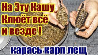 Клюет все и везде Правильная Каша на Карася Карп Лещ Рыболовная насадка для карася