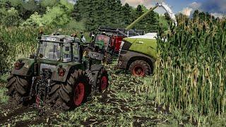 Maize silage harvest in EXTREME MUD  Every tractor get stuck  Farming Simulator 22