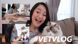 A DAY IN THE LIFE OF VET #VETVLOG