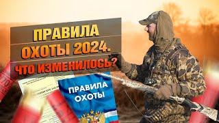 Охота 2024 Что Изменилось?