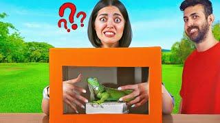 چالش حدس بزن تو جعبه چیه با حیوونای واقعی  WHATS IN THE BOX