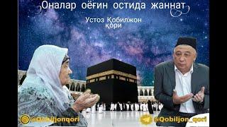 Qobil qori. Қобил қори. Кобил кори.