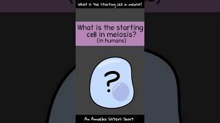 Starting Cell in Meiosis - Amoeba Sisters #Shorts