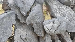 Inisheer Island - Horse with No Name