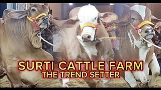 The Grand Opening Ceremony Of Surti Cattle Farm 2023  One Of The Famous Cattle Name In Pakistan