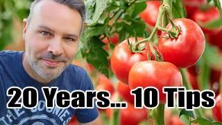 My TOP 10 TOMATO Growing Tips from 20 Years of Experience
