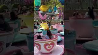 Just Alice & The Mad Hatter riding the tea cups right now at Disneyland#Disneyland #Disney100   