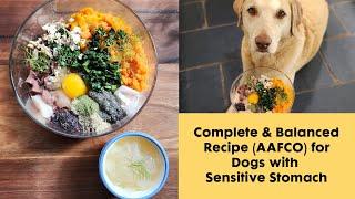 Complete & Balanced Dog Food Recipe AAFCO for Dogs with Sensitive Stomach