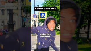 How it is for Humans Crossing Street VS Ants Crossing Street  #comedy