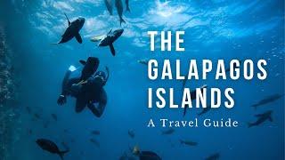 The Galapagos Islands Travel Guide - What I wish I knew