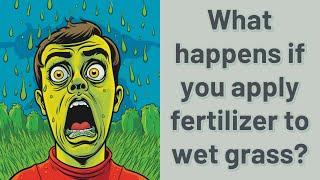 What happens if you apply fertilizer to wet grass?