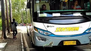 Telolet Melodi Bus Zentrum TZ 79 DragRace