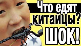 Что едят китайцы? ШОК