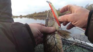 Рыбалка в Беларуси в конце октября. Ловля щуки на бутылки и спиннинг.
