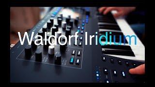 Exclusive Waldorf Iridium Synthesizer keyboard version