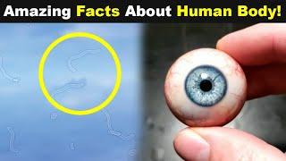 Most Amazing Facts About The Human Body That You Should Know UrduHindi