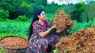 Authentic Sri Lankan Peanuts Galore  Making Caramelized Chikki Durian Crepe Cake &Easy  Watalappan