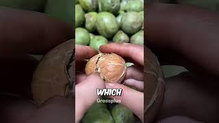 How are walnuts prepared? #shorts #science