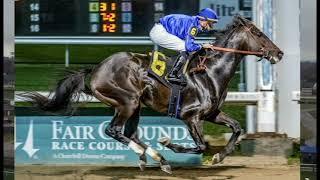 6 PossibleProbable Starters Churchill Downs Stephen Foster Stakes Race