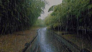 4K ASMR Heavy Rain Walk at Botanical Garden Osaka Japan  Rain Ambience Sounds Relax Sleep Study