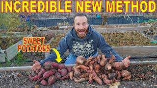 This REVOLUTIONARY Way Of Curing SWEET POTATOES Changes Everything