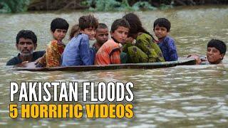 Watch  These Five Videos Capture the Horrors of Pakistans Devastating Floods  The Quint