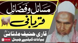 قربانی کی فضیلت اور اہمیت بیان قاری حنیف ملتانی qurbani ki fazelat o ahmiat Qari hanif multani