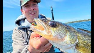 NEW Sneaky Walleye Color for Jig Fishing ft. Tom Huynh