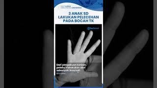 3 Anak SD di Mojokerto Cabuli Bocah TK 5 Kali Korban Alami Luka di Bagian Luar Area Sensitif