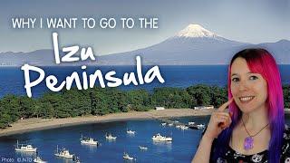 Whats at the Izu Peninsula? 1 hour from Tokyo