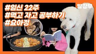 일상로그 더 먹고 더 쉬고싶어 22주 정밀초음파요아정치즈닭갈비공부하고 책 읽고 힐링