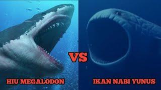 HIU MEGALODON VS IKAN NABI YUNUS