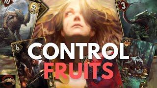 GWENT  2024.01  MONSTERS  Fruits of Ysgith - No body can beat this deck