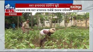 Odisha’s Nayagarh Sub-Jail converted into vegetable garden  Kalinga TV