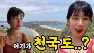 지구에 이런곳이? 해변이 맞닿은 기이한 천국도 체험 팜비치 호주워홀20