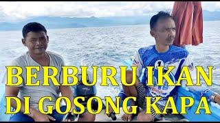 Berburu Ikan Di Gosong Kapa