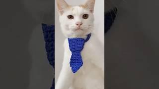 Crochet tie  free pattern on my channel #shortvideo #shorts #crochet #crochetpattern #crochetforcat