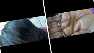 Routine Lightly oiling for my black silky haircare nitpickinglicepicking.....