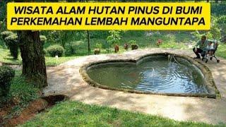 WISATA ALAM HUTAN PINUS DIBUMI PERKEMAHAN LEMBAH MANGUNTAPA