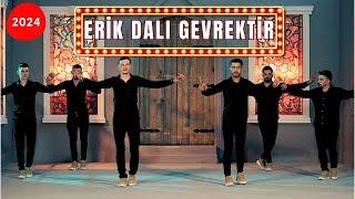 Aylin Demir - Erik Dalı Gevrektir - Oyun Havası