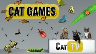 CAT Games  Ultimate Cat TV Bugs and Butterflies Compilation Vol 5 🪲   Videos For Cats to Watch