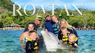 Swimming With Dolphins In Honduras