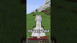 Minecraft Horses Hidden Trick  Find Fast Horses